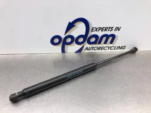 Set Gasdempers Achterklep-8249431 (21602313)