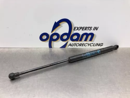 Set Gasdempers Achterklep-8249431 (21602313)