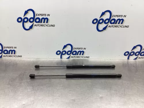 Set Gasdempers Achterklep-8024426