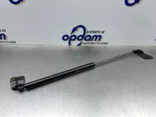 Set Gasdempers Achterklep-8315388 (22537808)