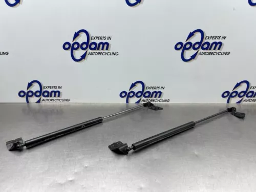 Set Gasdempers Achterklep-8315388 (22537808)