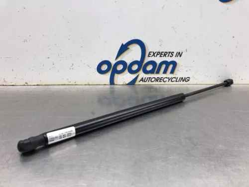 Set Gasdempers Achterklep-8172877 (20470467)