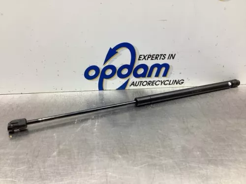 Set Gasdempers Achterklep-8063539 (19038207)