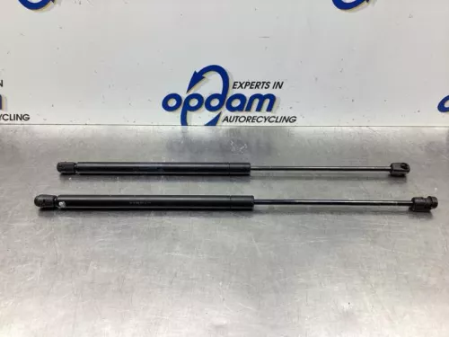 Set Gasdempers Achterklep-8063539 (19038207)