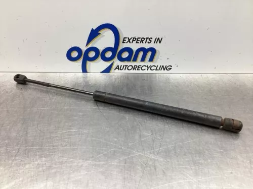 Set Gasdempers Achterklep-7936161 (17842521)