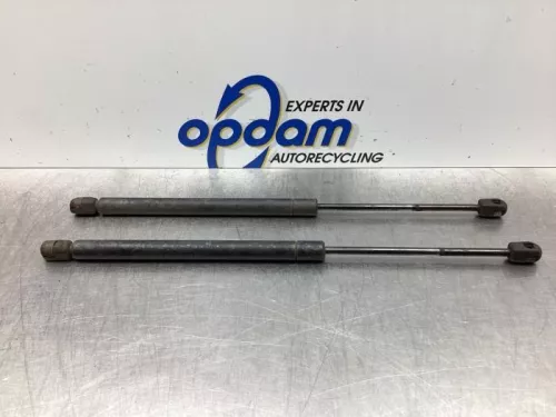 Set Gasdempers Achterklep-7936161 (17842521)