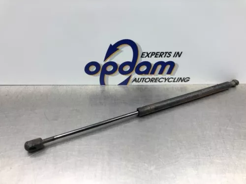 Set Gasdempers Achterklep-8181814 (20615087)