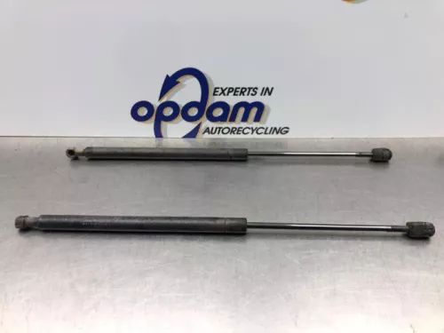Set Gasdempers Achterklep-8181814 (20615087)