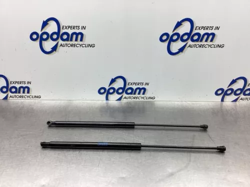 Set Gasdempers Achterklep-8040599 (18698212)
