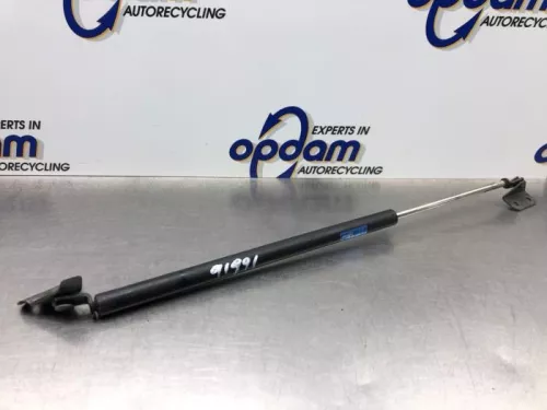 Set Gasdempers Achterklep-8247223 (21448160)