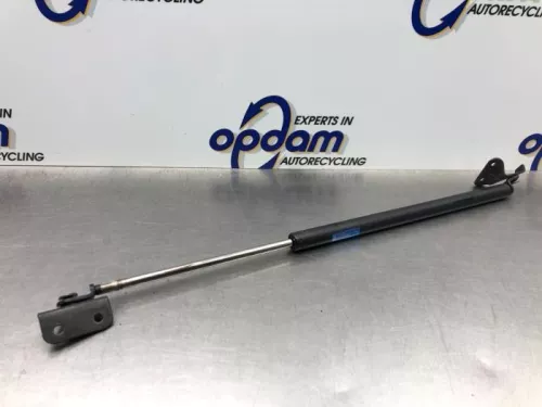 Set Gasdempers Achterklep-8247223 (21448160)