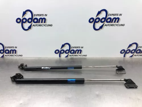 Set Gasdempers Achterklep-8247223 (21448160)
