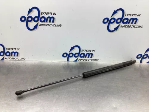 Set Gasdempers Achterklep-8048308 (18795309)