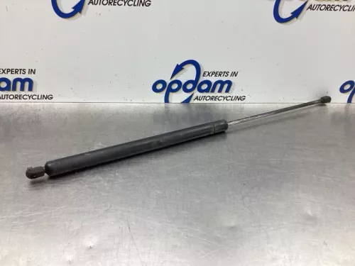 Set Gasdempers Achterklep-8048308 (18795309)