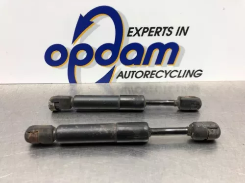 Set Gasdempers Achterklep-8190458 (20720256)