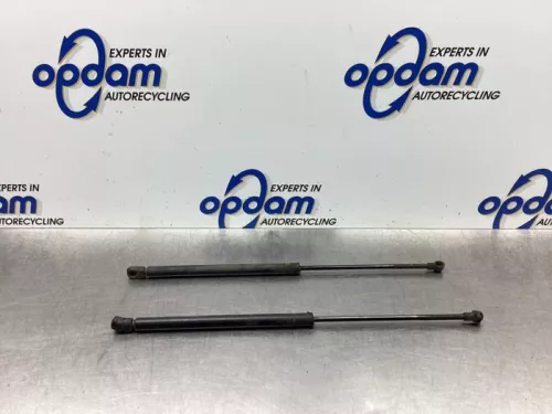 Set Gasdempers Achterklep-7987721 (18548993)