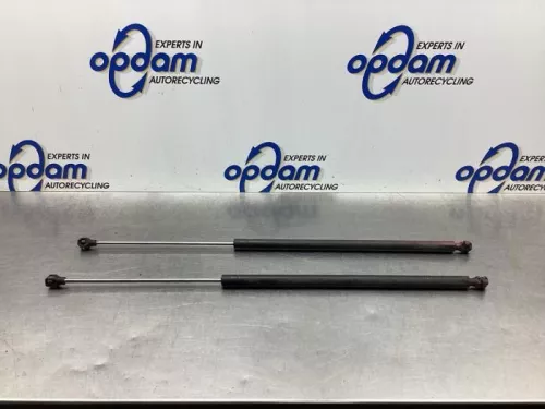 Set Gasdempers Achterklep-8027090 (18441971)