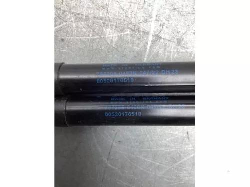 Set Gasdempers Achterklep-8202418 (21242782)