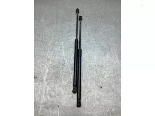 Set Gasdempers Achterklep-8202418 (21242782)