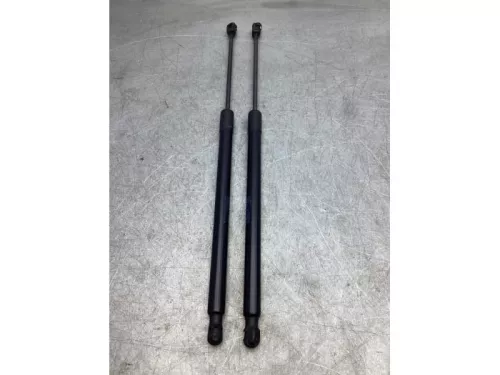 Set Gasdempers Achterklep-6369723 (17934698)