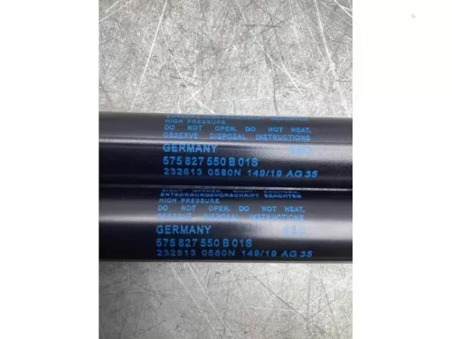 Set Gasdempers Achterklep-6369723 (17934698)