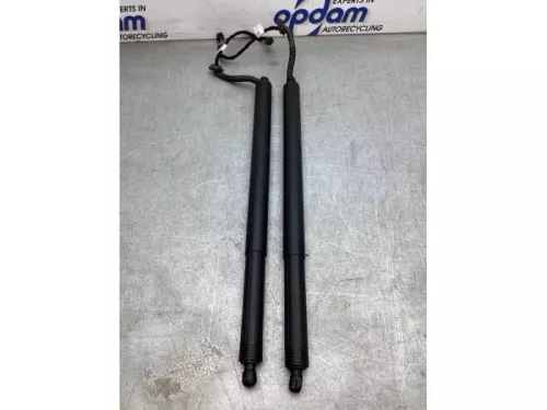 Set Gasdempers Achterklep-8162072 (21456380)