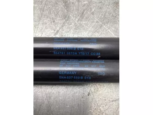 Set Gasdempers Achterklep-8103818 (20761411)