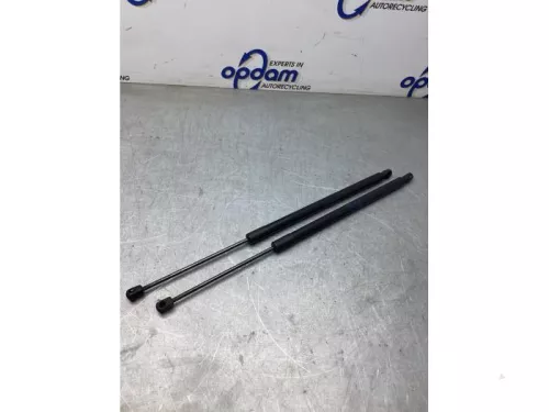 Set Gasdempers Achterklep-8103818