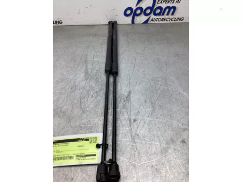 Set Gasdempers Achterklep-8282811 (22586163)