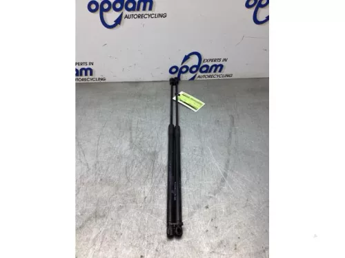 Set Gasdempers Achterklep-8282811 (22586163)
