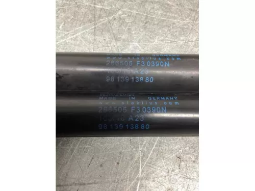 Set Gasdempers Achterklep-8079170 (21809449)