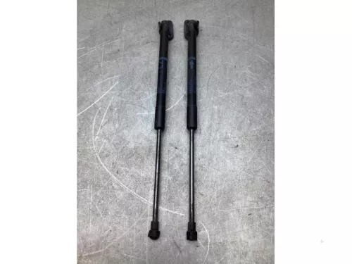 Set Gasdempers Achterklep-8079939 (19552820)