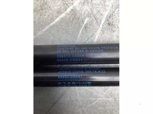 Set Gasdempers Achterklep-8079939 (19552820)
