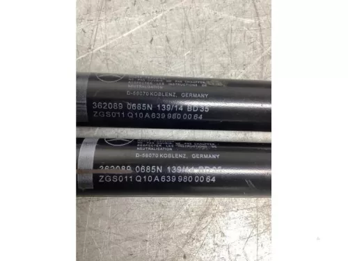 Set Gasdempers Achterklep-8155286 (21074010)
