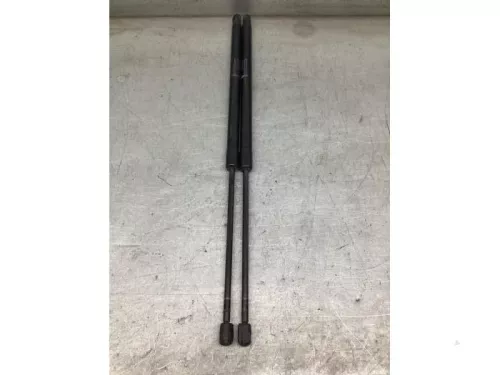 Set Gasdempers Achterklep-8155286 (21074010)