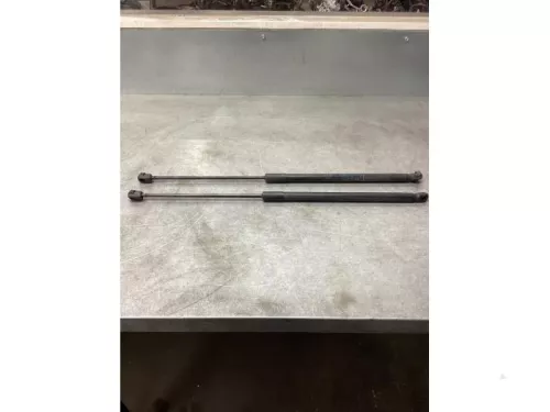 Set Gasdempers Achterklep-8180176 (21726776)