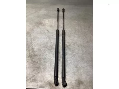 Set Gasdempers Achterklep-8180176 (21726776)