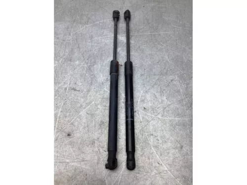 Set Gasdempers Achterklep-8103030 (21199017)