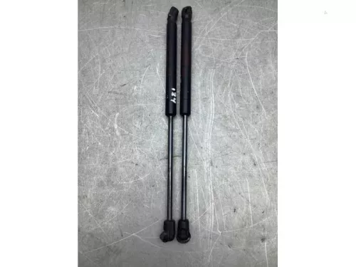 Set Gasdempers Achterklep-8137357 (21034771)