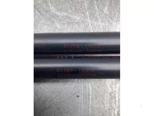 Set Gasdempers Achterklep-8137357 (21034771)