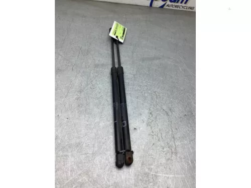 Set Gasdempers Achterklep-8304616 (22672044)