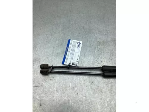 Set Gasdempers Achterklep-8304616 (22672044)
