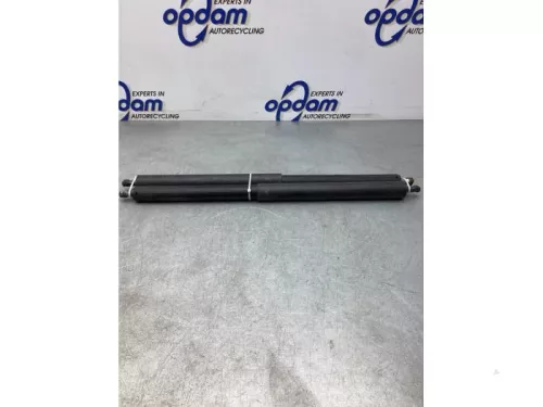 Set Gasdempers Achterklep-5401117 (17730938)