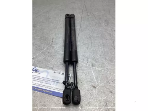 Set Gasdempers Achterklep-8310598 (22538475)