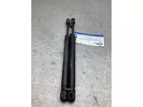 Set Gasdempers Achterklep-8310598 (22538475)