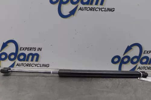 Set Gasdempers Achterklep-7877347 (15342006)