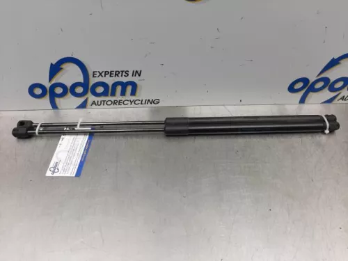 Set Gasdempers Achterklep-7876830