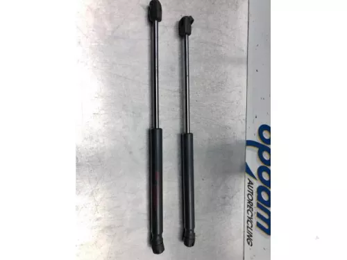 Set Gasdempers Achterklep-6595853 (16734856)