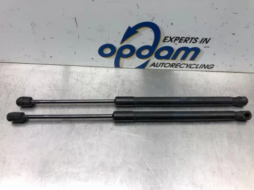 Set Gasdempers Achterklep-7715887