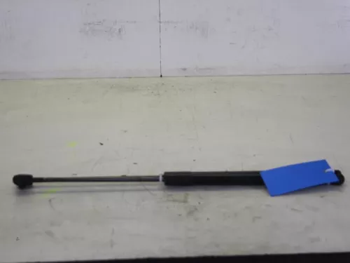 Set Gasdempers Achterklep-7884876 (8550102)